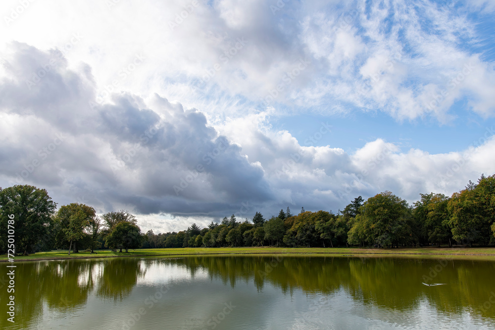 Obraz premium Panoramic view over a pond with tree line and dramatic clouded sky in National Park Hoge Veluwe, Hoenderloo the Netherlands