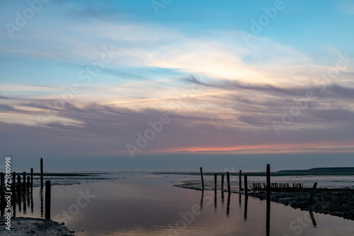 Sunset view over mudflats near pier in former harbor De Cocksdorp, Texel, The Netherlands during low tide with birds in water and in air against feathered cloud sky and wooden poles reflected in water © Sonja
