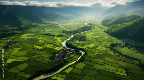 Aerial view of green fields, crops and harvests. Natural landscape. 