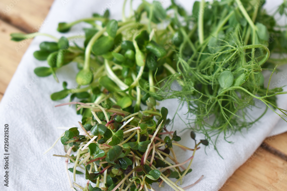 Fresh microgreen radish, peas, sunflower on a white napkin Fresh microgreen radish, peas, sunflower on a white napkin
