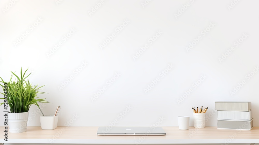 White Desk With Laptop and Potted Plant. Copy space White Desk With Laptop and Potted Plant. Copy space