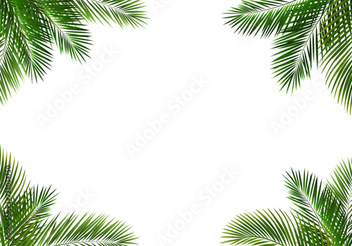 frame of palm leaves © barbaliss