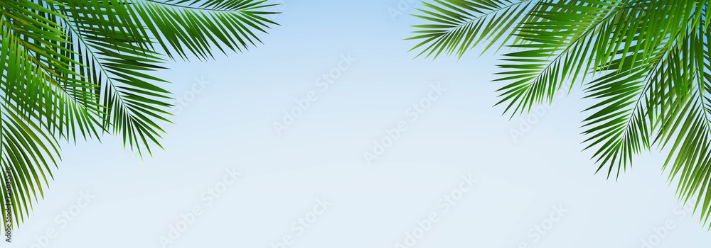 Frame With Green Palm Tree Leaves And Blue Sky