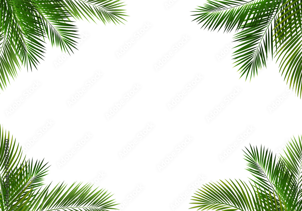 Border With Palm Tree Leaves
