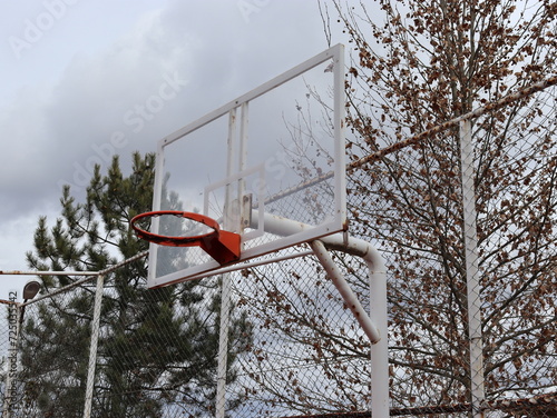 Basketball hoop and trees