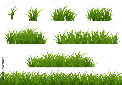Grass Big Collection With White Background