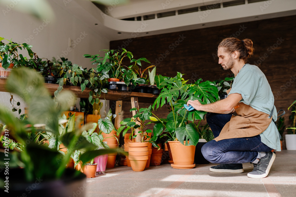 Handsome male business owner working, arranging and gardening houseplants at his florist shop indoor. Handsome male business owner working, arranging and gardening houseplants at his florist shop indoor.