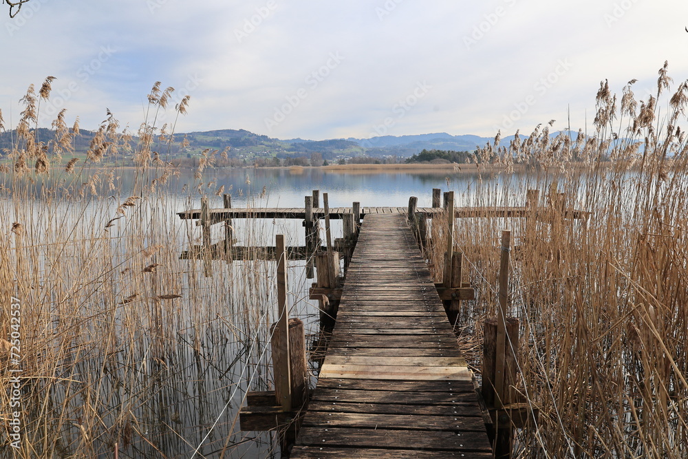 Naklejka premium Blick auf den Pfäffikersee im Kanton Zürich in der Schweiz 