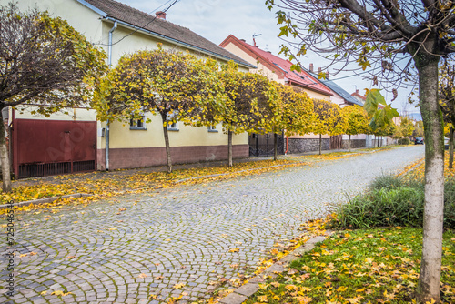 Pavement road in a small cozy town in autumn in a sunny day. Yellow leaves and trees in autumn. Picturesque European street in a small town with beautiful old houses and paving stones. Mukachevo.Ukrai photo