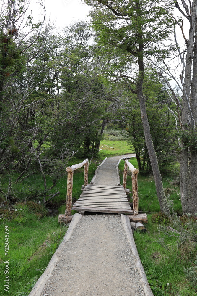 Old wooden pedestrian bridge on natural park