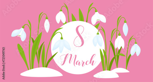 Women's day, 8 of March card with Snowdrops,  first spring white flowers with green leaves. Vector illustration, elegant spring   symbol.