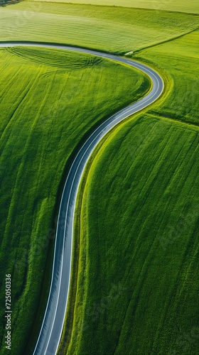 view road winding green field aerial veins far trip outer space driveway young vertical lines highlights cartographic photo