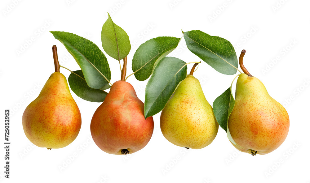 Collection pears isolated on white transparent background, png. top view, flat lay Collection pears isolated on white transparent background, png. top view, flat lay