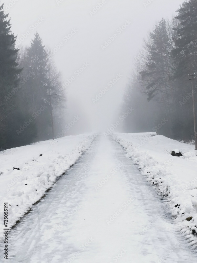 Fototapeta premium winter road in the snow