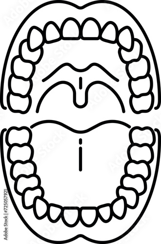 Palate