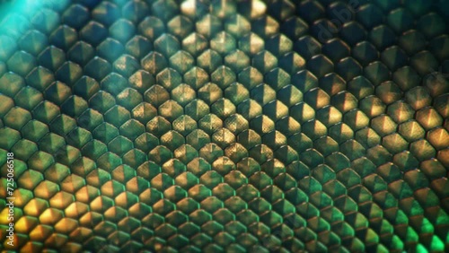 Underwater Scales Background