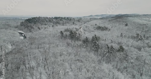 winter landscape