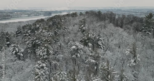forest overlook