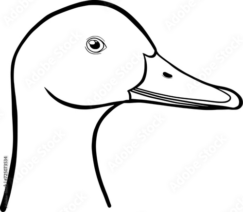duck head outline vector illustration