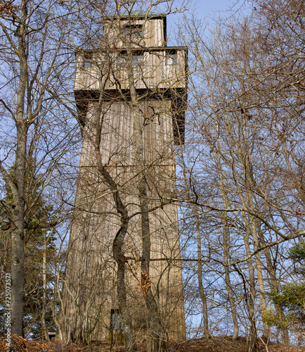 On the summit of the Lupfen, at an altitude of 977 m above sea level between bare trees, rises the 22.5 m high Lupfenturm of the Swabian Alb Association. photo