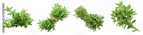 A Bunch Of Fresh Fragrant Savory Hyperrealistic Highly Detailed Isolated On Transparent Background Png File White Background Photo Realistic Image