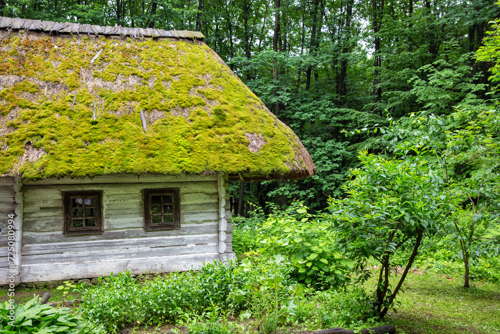 Wooden ethnic house with thatched roof. Halych Ethnography museum, Ukraine. Wooden ethnic house with thatched roof. Halych Ethnography museum, Ukraine.