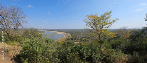 Afrikanischer Busch - Krügerpark - Olifants River / African Bush - Kruger Park - Olifants River / photo