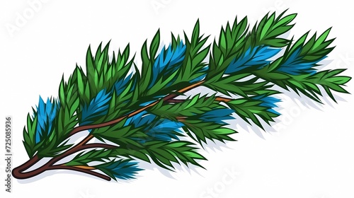 seamless background with coniferous branches pattern  coniferous  fir  