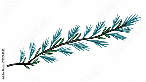 seamless background with coniferous branches pattern  coniferous  fir  