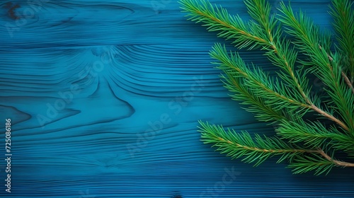 seamless background with coniferous branches pattern  coniferous  fir  