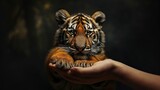  a person's hand holding a small tiger cub in it's right hand, against a dark background.