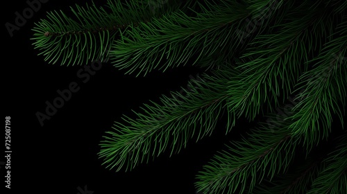 seamless background with coniferous branches pattern, coniferous, fir,  © Nikita