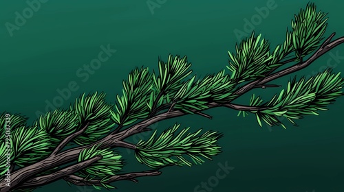 seamless background with coniferous branches pattern  coniferous  fir  