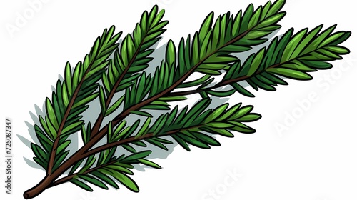 seamless background with coniferous branches pattern, coniferous, fir, 