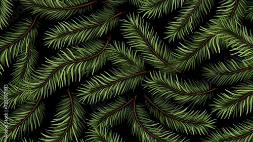 seamless background with coniferous branches pattern  coniferous  fir  