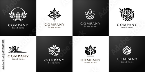 Stylish flat minimalistic logo design collection  modern digital graphic elements with abstract floral shapes in black and white for bio and organic products in vector set