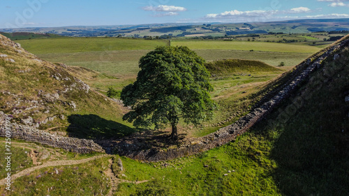 Photography Robin Hood Sycamore Gap Tree at Hadrian's Wall.
