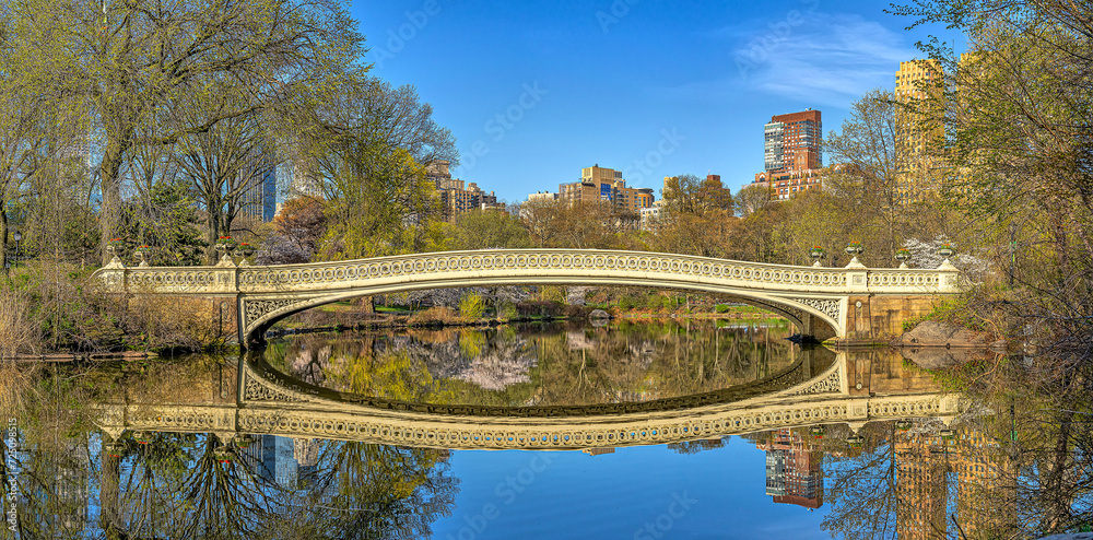 Naklejka premium Bow bridge in the morning in early spring