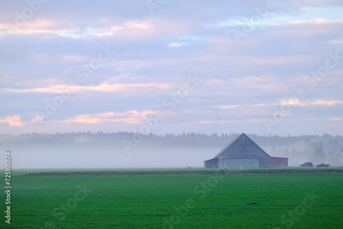 Barn in the fog with violet and pink morning clouds and a bright green field