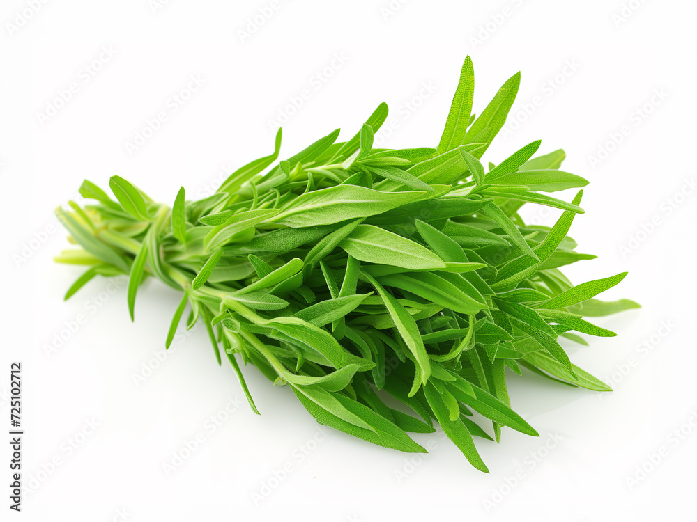Fresh Tarragon isolated on white background Stock Photo Adobe Stock