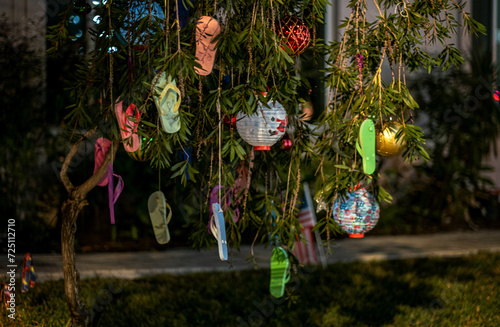 florida christmas tree