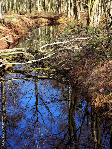 Felmer Moor im Frühjahr photo