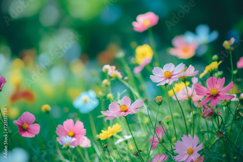 Blooming meadow or spring meadow with wildflowers. Background with selective focus and copy space