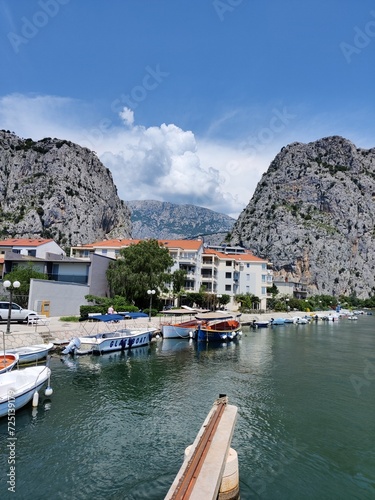 boats in the harbor