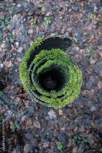 Old mining strip overgrown with moss, twisted.