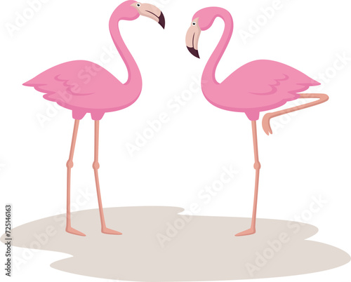 Cute flamingos cartoon on white background