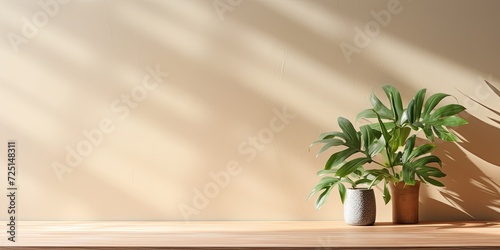 Empty teak wood table with green tropical plant, morning sunlight, leaves shadow on beige wall background. Banner and product display.