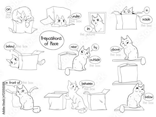 Prepositions of place. English prepositions. A clear example with a cat and a box. on, in, inside, outside, under, front, above, below, right, left, behind, between, near, by. Cartoon character. Set