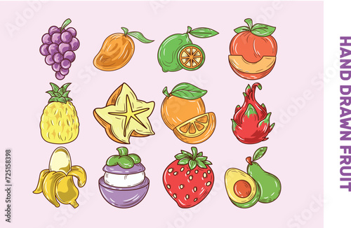Hand drawn fruit illustration vector set