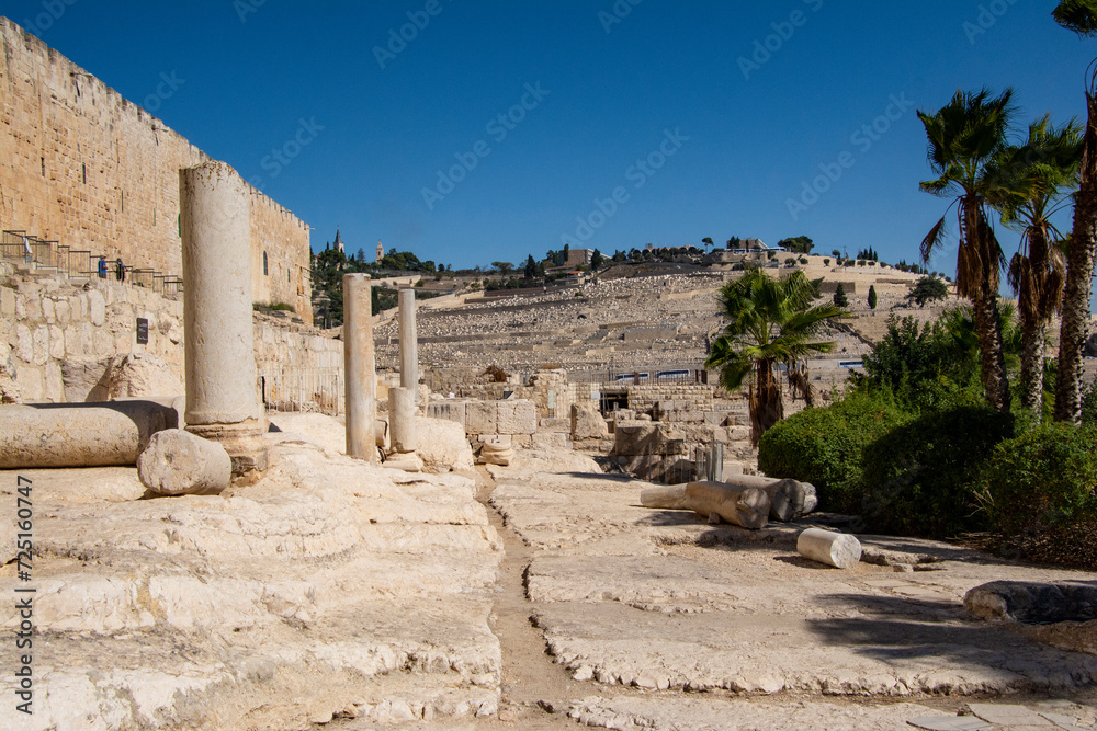 Ancient ruins and the Temple Mount.